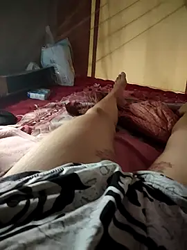 -Tara-a webcam