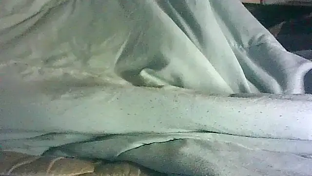 CR3M3_FIR3 webcam