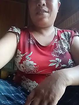 Ip34 webcam