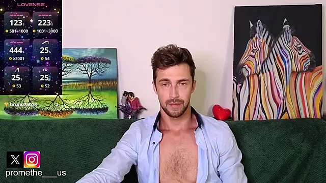 Promethe_us webcam