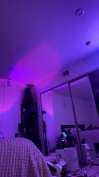 alldogsgotoheaven webcam