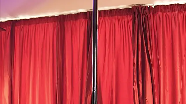 LuxenNoir webcam