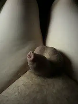 Devot24 webcam