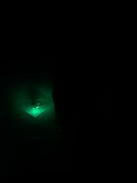 neonginger webcam