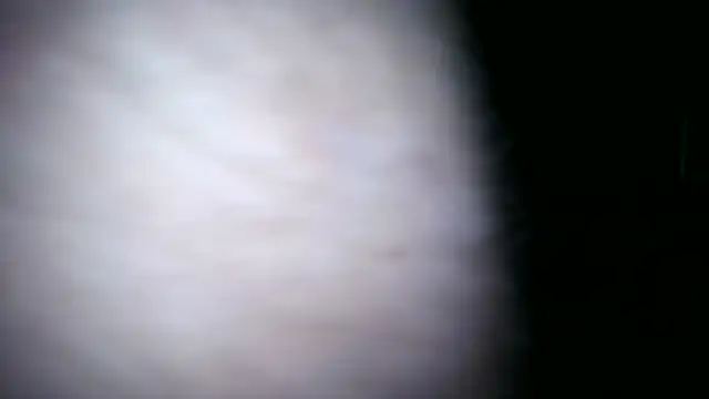 0815lukas2024 webcam