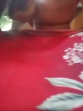 Ip34 webcam