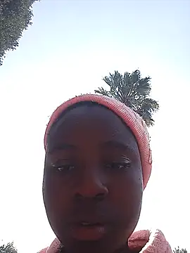 BlackPearl_19 webcam