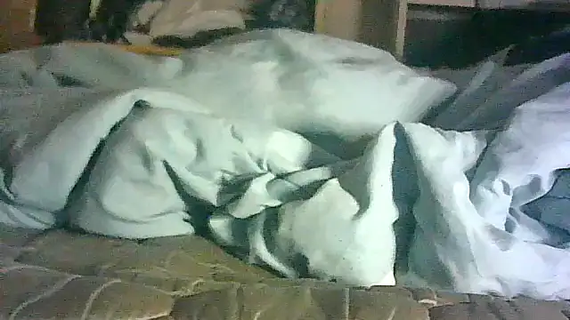 CR3M3_FIR3 webcam