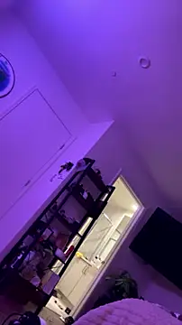 alldogsgotoheaven webcam