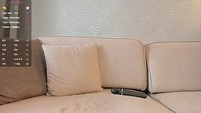 SageFrommer webcam