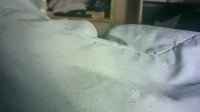 CR3M3_FIR3 webcam