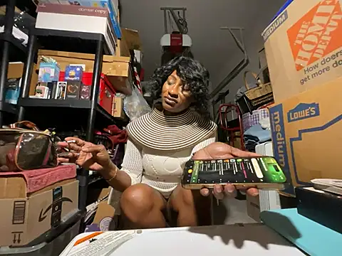 wynterheat webcam