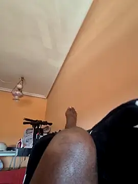 pumapatri webcam