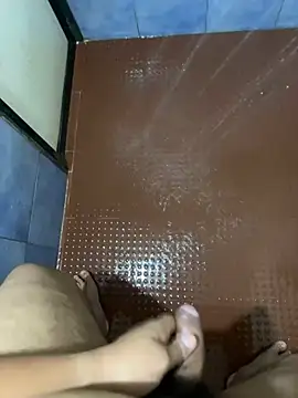 raj0608a webcam