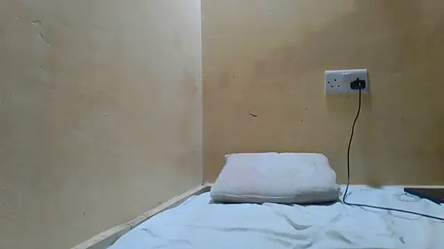 Cozybear webcam
