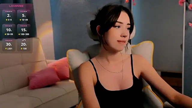 noonespyed webcam