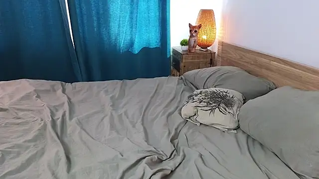 PaulettaGuinane webcam