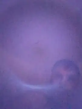 yourboysexy19 webcam