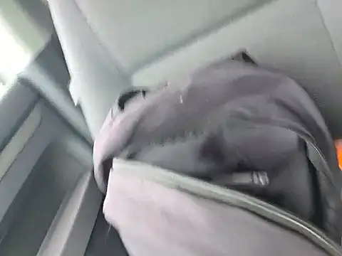 Zeefy