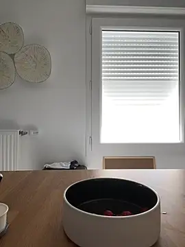 Misstakenhot webcam