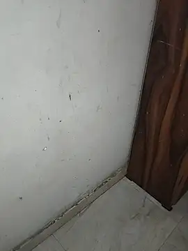 xoBebo webcam