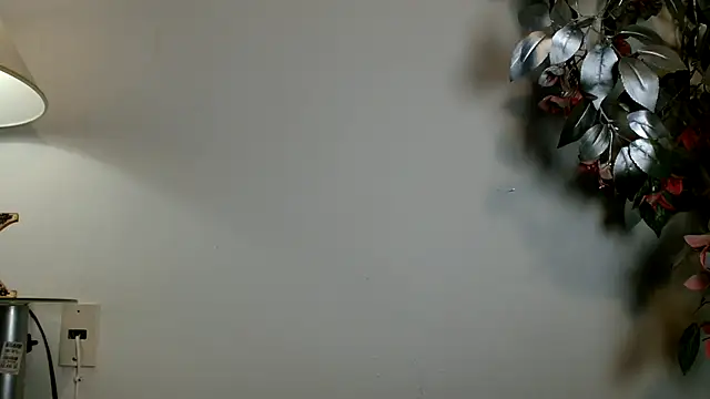 3littles Live Web Cam Show