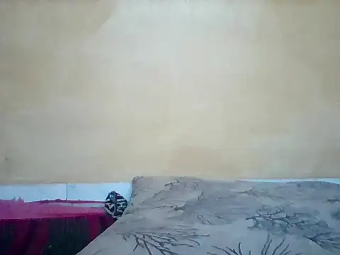 strip webcam Africangal