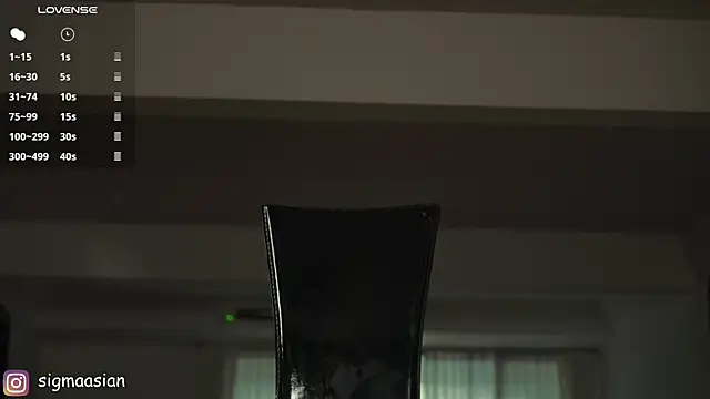 sigmasian webcam