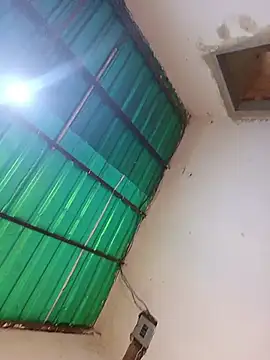 adhara-daaal webcam