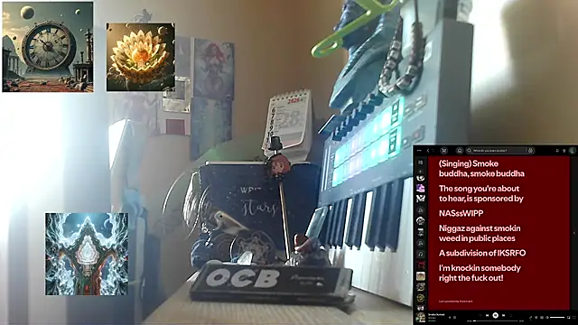 Sully_Kane webcam