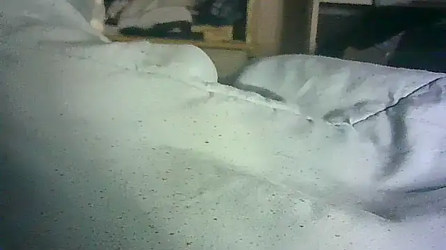 CR3M3_FIR3 webcam