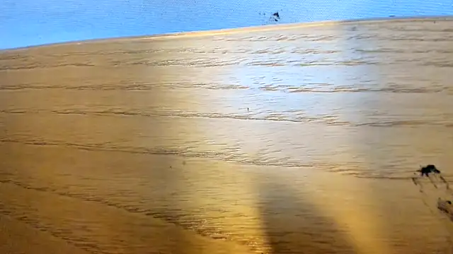 BiglovelyXXL webcam