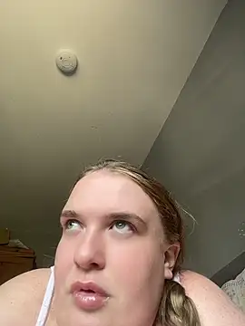 Lexib12xx webcam