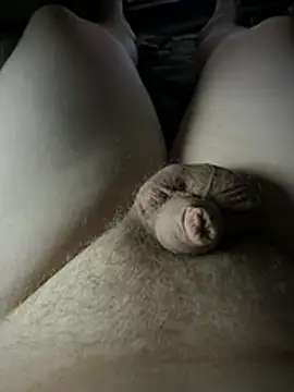Devot24 webcam