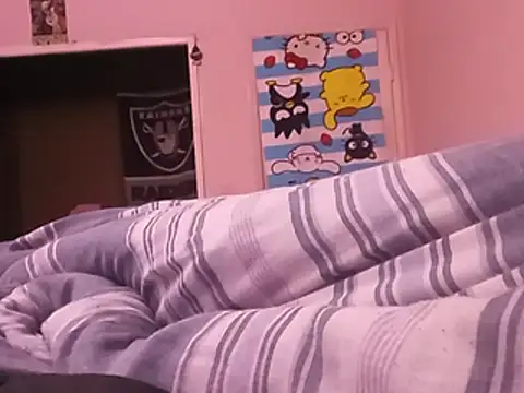 Blkstylion webcam