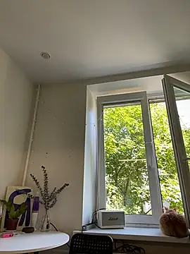 SuzieMurray webcam