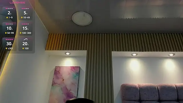 1Sloppy_Fox4 webcam
