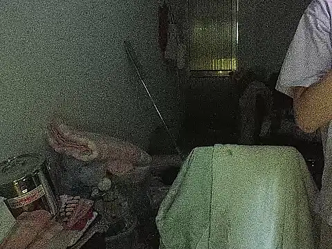 RebelAura webcam