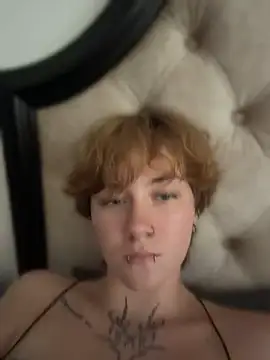 IceMur webcam