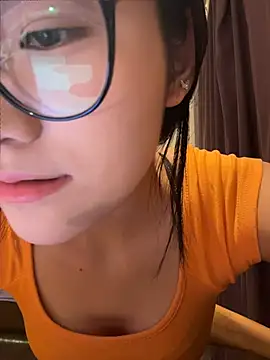yanzi520 webcam