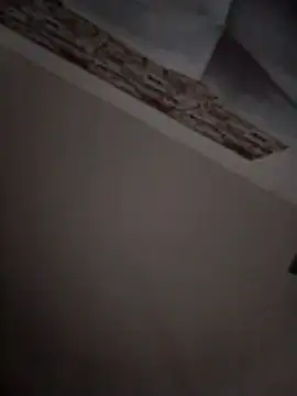pillepallex84x webcam