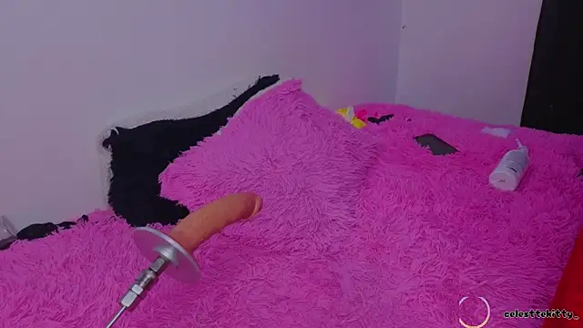 celestte_evans_1 webcam