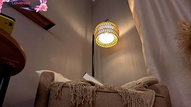 LollaStich webcam