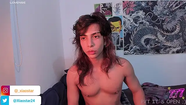 XiaoStar webcam