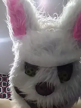 Happy_rabbith webcam