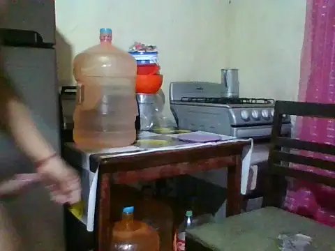 Elxdelvergon webcam