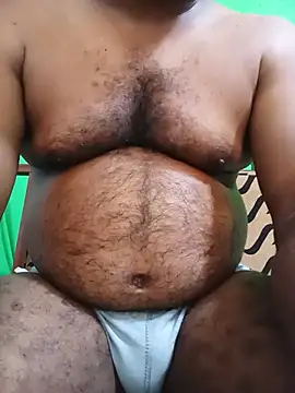Hiptonos webcam