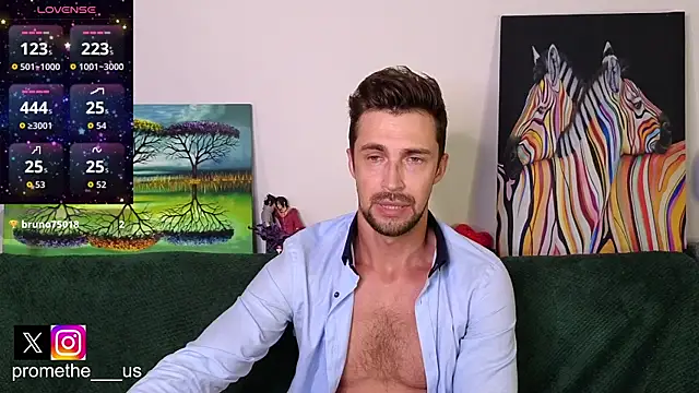 Promethe_us webcam