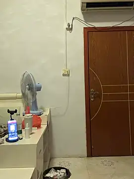 hannzn webcam