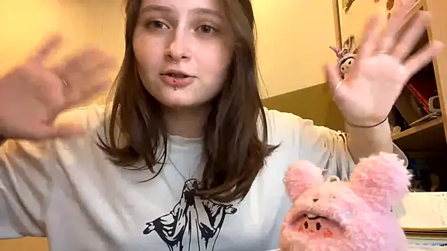 MnemonicSimplism webcam